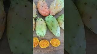 Cacti 🌵. Close-up of cactus fruits / Кактусы 🌵. Плоды, фрукты крупным планом +2 #cactusfruit #cactus