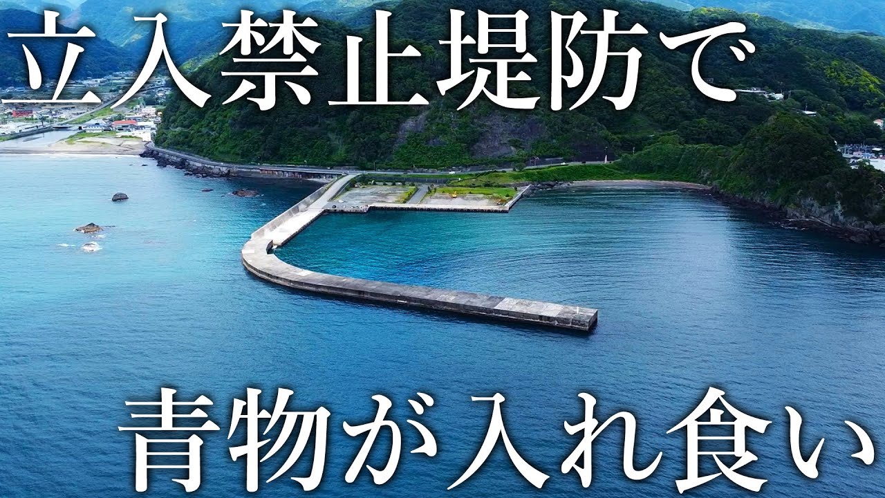 15年間も立入禁止だった一級堤防で釣りをしてみると青物が無限に釣れる楽園でした