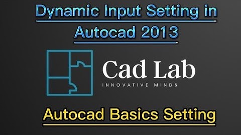 Dynamic input setting in autocad 2013