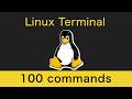 Linux Terminal in One Coffee