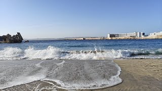 Paradise Bay Trip Video