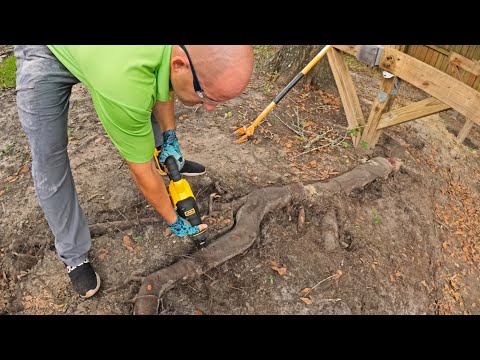 How To Remove Tree Roots Easy DIY (DIY Concrete Patio EP 1)