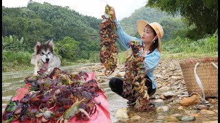 The romantic stream has wonderful crabs, collect the crabs and bring them to the market to sell