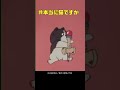 ã€ç¥žæ¥­ã€‘ã€Žã˜ã‚ƒã‚Šãƒ³å­ãƒã‚¨ã€å°é‰„ã®ã‘ã‚“çŽ‰ #shorts #tmsã‚¢ãƒ‹ãƒ¡