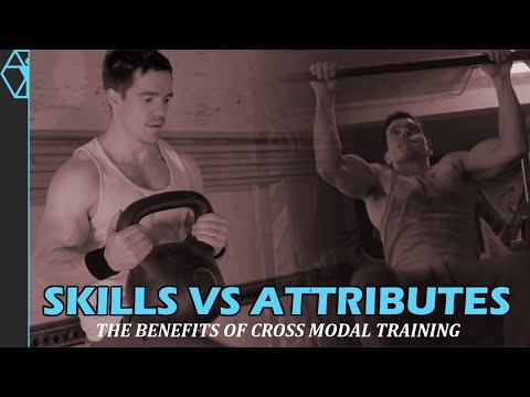 Skills vs Attributes - Why Cross Modal Training Makes Sense | Training Motivation