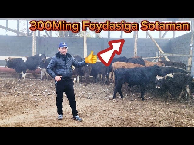 Qiz dengiz hidiga oxshaydi (erotik porno fotosurat)