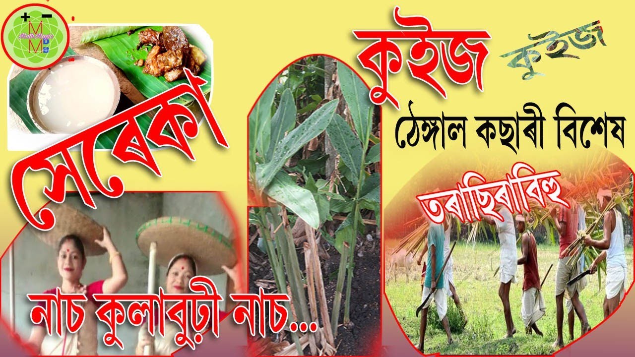 Torachira Bihu Thengal Kachari Quizzes By Dipen Bora (cha)