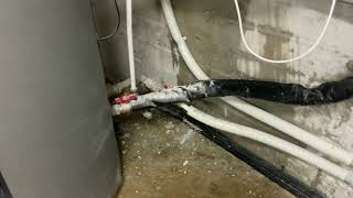 IMG 4524