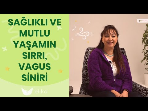 Vagus Siniri Nedir? - Vagus Siniri Nasıl Uyarılır? - Elika Hamile