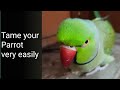 How to tame a parrot very easily. तोते को पालतू कैसे बनाएं |