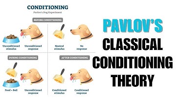 Pavlov’s Classical Conditioning Theory | Super Easy Explanation