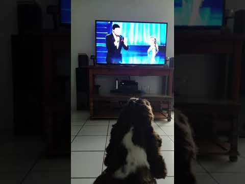 Dog singing O Sole mio