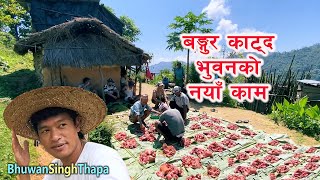 Best Pork Cutting In Village Nepal / Bhuwan Singh Thapa / Village life in Nepal