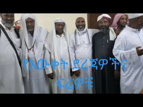 ቪዲዮ: ፍሬዎቹ ቱርቦ አላቸው?