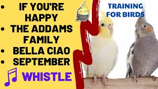 IF YOU'RE HAPPY, THE ADDAMS FAMILY, BELLA CIAO, SEPTEMBER with WHISTLE - Cockatiel Parrot Practice