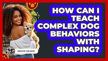 How Can I Teach Complex Dog Behaviors With Shaping? - Obedient Dog Guide