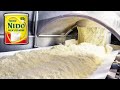 How Milk Powder is Made in a Factory | Step-by-Step Milk Powder Production Process