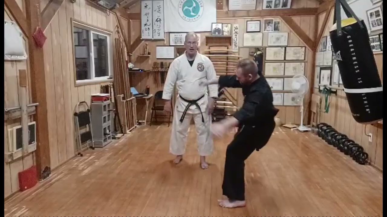 Сэйдокан Суббота 294, Положение ног для силы