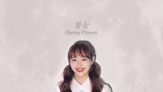 LOONA Chuu (이달의 소녀 츄) - Spring Flower (봄꽃) (Into The Ring 출사표 OST) Lyrics/한국어 가사