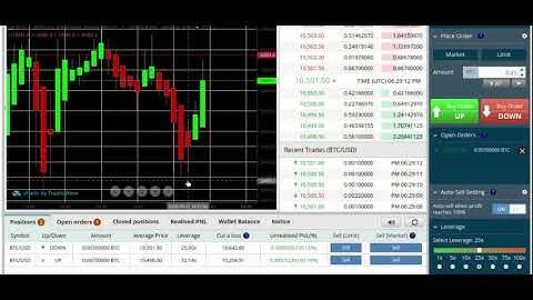 How to Use Leverage Straddle  BitSeven Directional Trading  Beginners Sessions