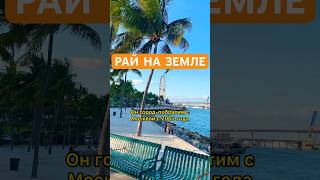 Факты Про Майами