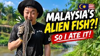 This “Alien Fish” Is Destroying Malaysia’s Ecosystem! So I Ate It 🇲🇾