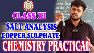 🔥🔥💥 CLASS XI- CHEMISTRY PRACTICALS / SALT ANALYSIS - COPPER SULPHATE