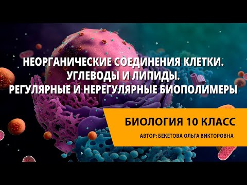 Неорганические соединения клетки. Углеводы и липиды. Регулярные и нерегулярные биополимеры