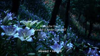 You are alone in a garden full of flowers playlist