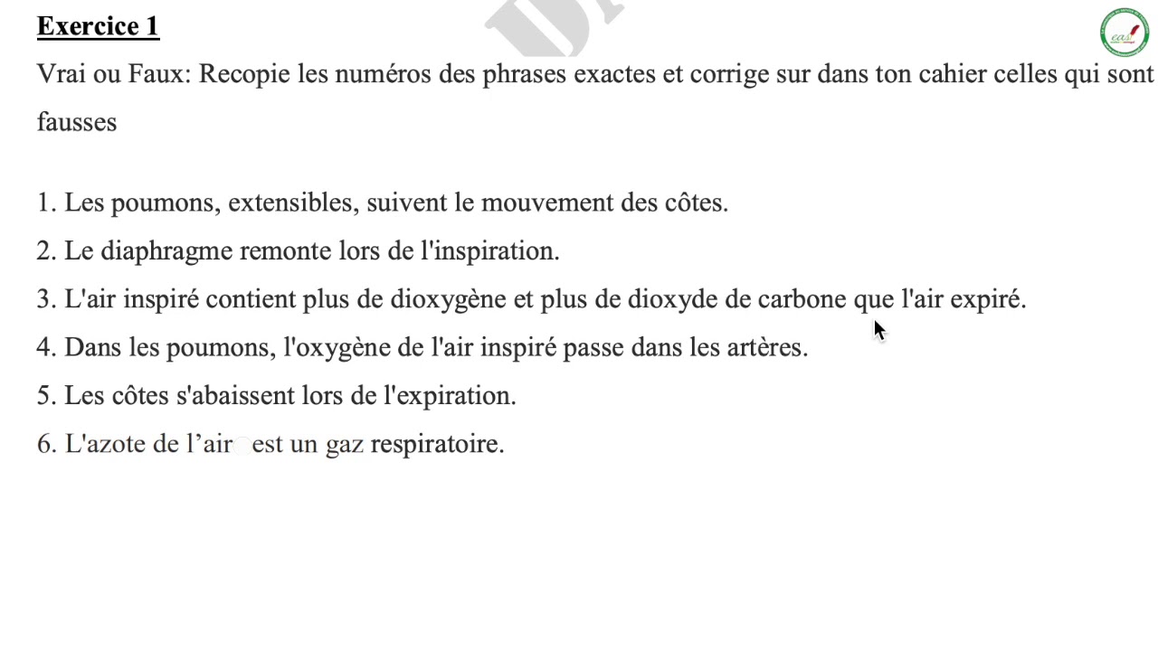 La respiration chez l'Homme et l'hygiène de l'appareil respiratoire - 3AC 