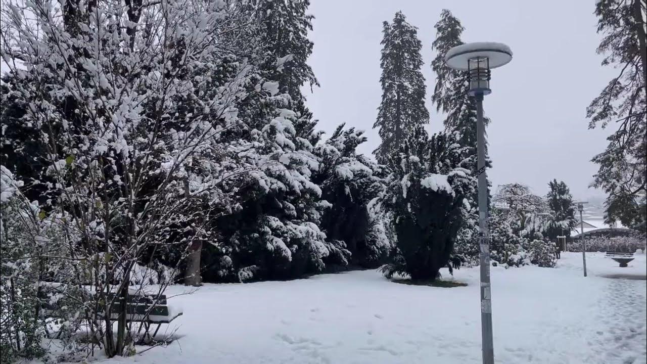 First day of snowfall Lausanne, Switzerland 🇨🇭🌨2022snowfall lausanne