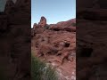 Petroglyphs in Valley of 🔥 impresionante