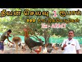 🐓🐣1 கோழிக்கு 1 ரூபாய் தீவன செலவில் 700 நாட்டுக்கோழி வளர்க்கும் முன்னாள் ராணுவ அதிகாரி  #pannaiveedu