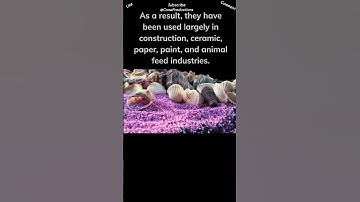 Snail Shells Have Many Uses Too #snail #shorts