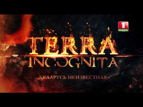 Налибокская пуща. Terra