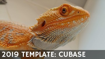 AA24 2019 Template: Cubase