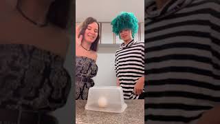 Desafio Do Ovo Quem Ganhou??