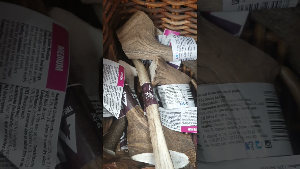 dog chews antlers 100% natural chews |healthy chews for your pet, gum and care | petcare | dog lover