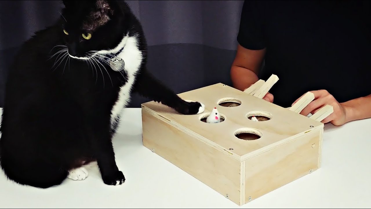 whack a mole cat toy