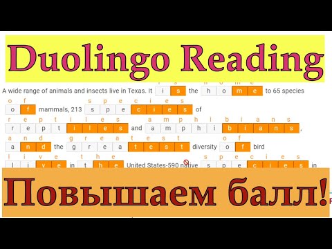 Видео: Өнөөдөр SAT оноо хэдэн цагт гарах вэ?