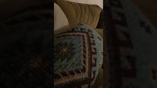 Me When I Explain The Fnaf Lore