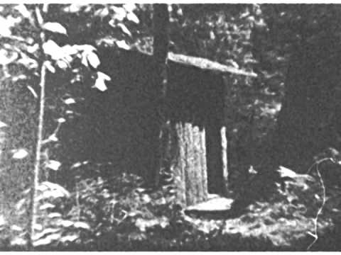 Silver Creek Row Boat At Log Cabins Youtube