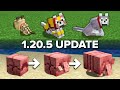 Minecraft 1205 update explained in 5 minutes