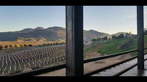 Baja Bride Valle de Guadalupe Weddings - Domecq