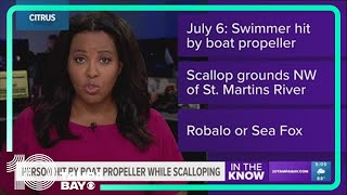 Scalloper hit by boat in Citrus County; FWC searching for driver