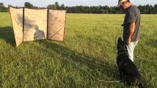 Beaux Vocal Part 10 07072014