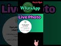 تشغيل الصور الحية في WhatsApp أو إيقافها 