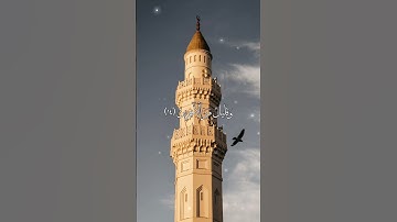 راحة و طمأنينة القارئ : أحمد دياب #نفحات_شبان #نفحات_شبان #أحمد_دياب