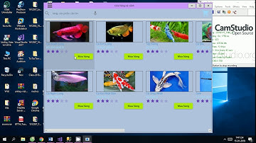 Đồ Án Bán Hàng WPF