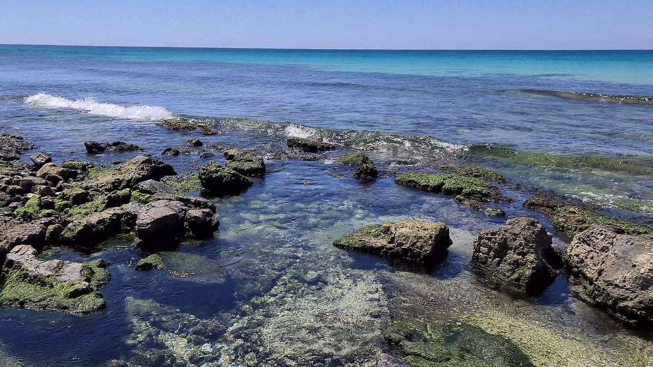 Le di Torre Vado (Morciano). YouTube Le di Torre Vado (Morciano). YouTube